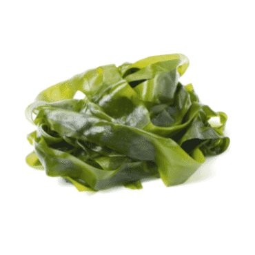 Kelp
