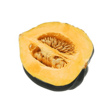 Squash