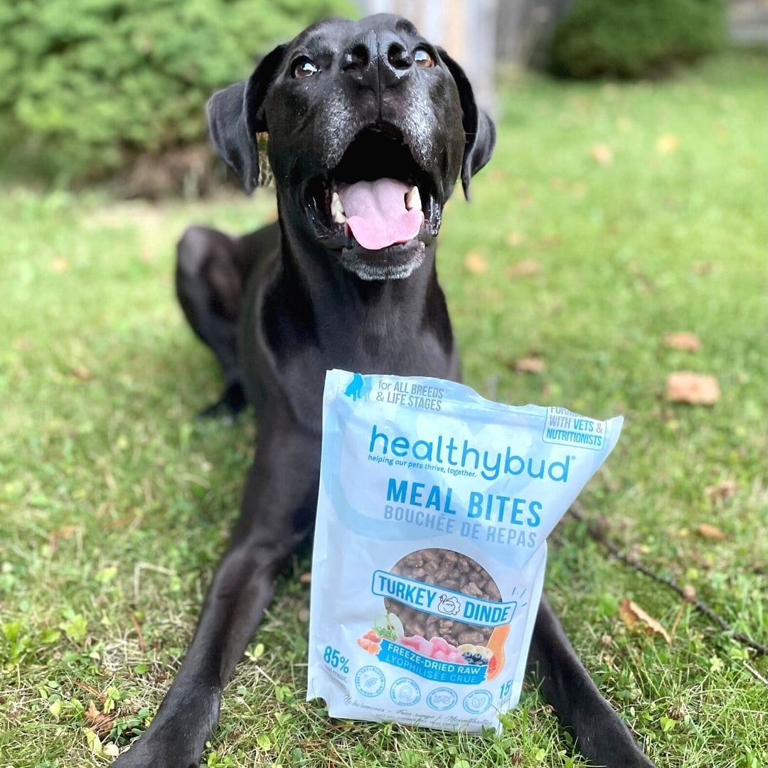 turkey meal bites